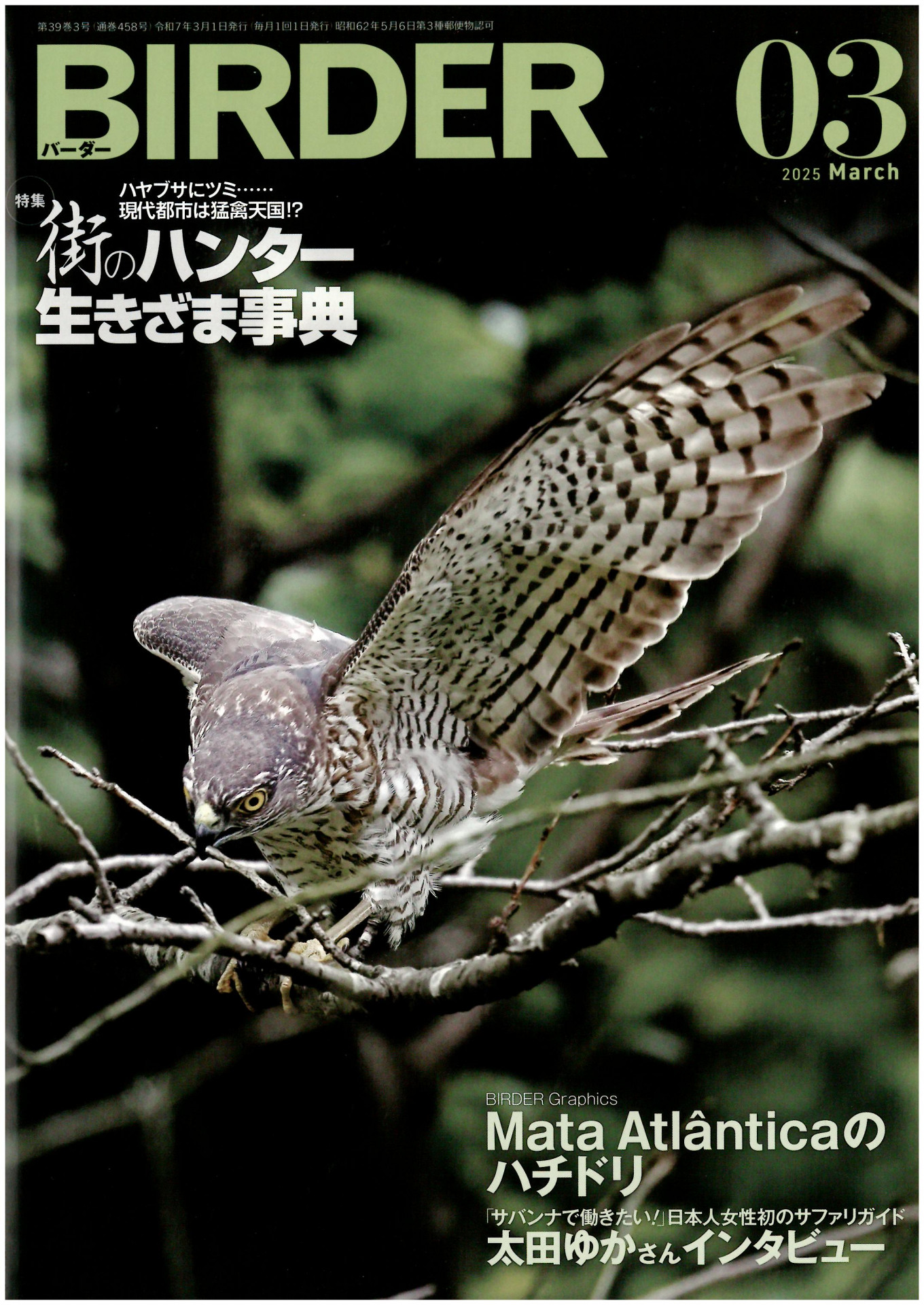 掲載雑誌表紙 (千葉)